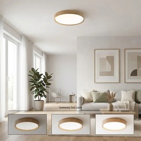 BRILAGI - Plafonieră LED dimabilă MANAROLA LED/36W/230V 3000-6500K Ø 51 cm + telecomandă