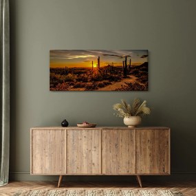 Tablou - Sfărșit de zi în deșertul Arizona (120x50 cm)
