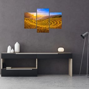 Tablou - Terasele de orez din Vietnam (90x60 cm)