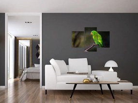 Tablou cu papagal pe greangă (90x60 cm)