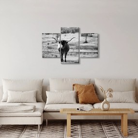 Tablou - Vacă,alb-negru (90x60 cm)