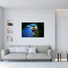 Tablou cu papagal (90x60 cm)