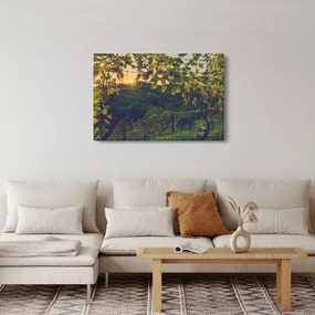Tablou - Podgorii (90x60 cm)