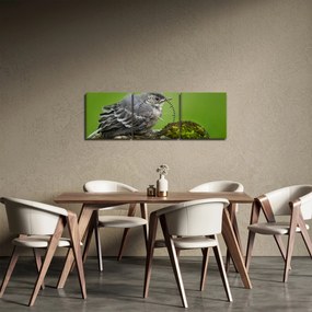 Tablou - Muscarul (cu ceas) (90x30 cm)