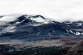 Fototapet, The North, Rebel Walls