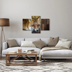Tablou cu vulpe (90x60 cm)