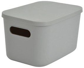 Cutie de depozitare gri din plastic cu capac 24,5x18x15 cm – Homéa