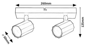 Spot Rabalux 73024 ROGELIO 2xGU10/5W/230V