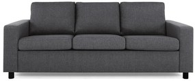 Canapea Scandinavian Choice C169Numărul de locuri: 3, Gri, Negru, 214x88x86cm, Tapiterie, Picioare: Plastic