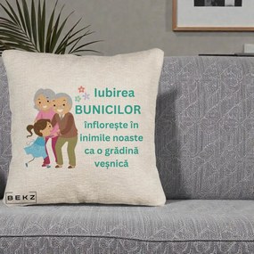 Cadou pentru Bunici - Perna Personalizata Bunicii Iubirea Infloreste cu Nepoata Teal, 40x40 cm, Bej Canapea, Husa Detasabila, Perna Inclusa, BEKZ®