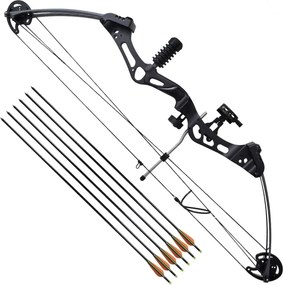 vidaXL Arc compus pentru adulți cu accesorii și săgeți din fibră de sticlă