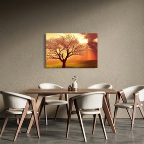 Tablou cu razele lui Dumnezeu (90x60 cm)