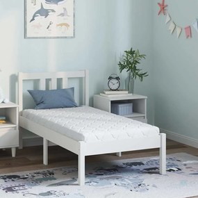 vidaXL Saltea cu strat de nucă de cocos Alb 120 x 60 cm Spumă PU