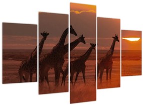 Tablou - Girafe în savana africană (150x105 cm)