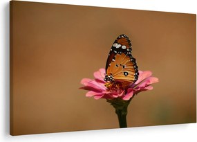 Tablou cu fluture pe floare (90x60 cm)