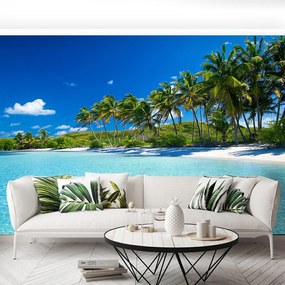 Fototapet Palm Beach Copaci