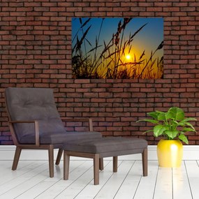 Tablou - Apus de soare pe pajiște (90x60 cm)