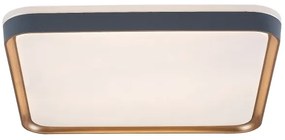 Rabalux 71029 - Plafonieră LED LIATRIS, 26W, 230V, 3000K