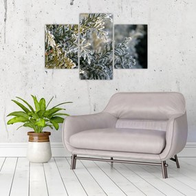 Tablou - Detaliu ramură (90x60 cm)