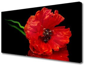 Tablou pe panza canvas Florale flori Roșu