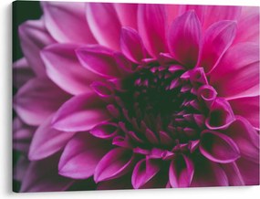 Tablou cu floarea roz (70x50 cm)