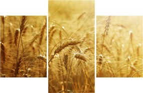 Tablou - Spice de cereale (90x60 cm)