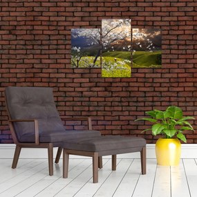 Tablou - Peisaj cu pomul înflorit (90x60 cm)