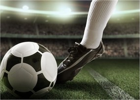 Tablou - Minge de fotbal (70x50 cm)