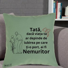 Cadou pentru Tata - Perna Personalizata Tata Nemuritor Bicicleta, 40x40 cm, Verde, Husa Detasabila, Perna Inclusa, BEKZ®