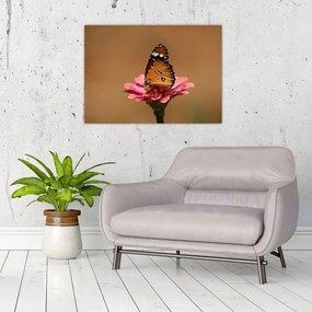 Tablou cu fluture pe floare (70x50 cm), în 40 de alte dimensiuni noi