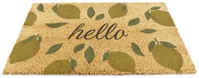 Covoraș de intrare din fibre de nucă de cocos 40x60 cm Hello Lemons – Artsy Doormats