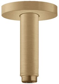 Brat de dus, Hansgrohe, S 100, cu montaj pe tavan, 10 cm, bronz periat