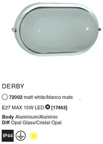 Aplica de perete exterior IP44 Derby-G 72002
