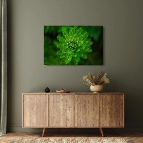 Tablou cu coniferi (90x60 cm)