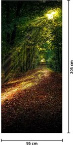Fototapet pentru ușă - Drum forestier (95x205cm)