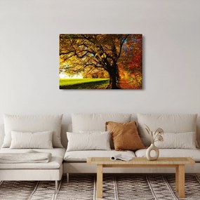 Tablou cu toamna (90x60 cm)
