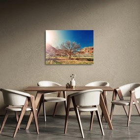 Tablou pe sticlă cu cu copac în deșert (70x50 cm)