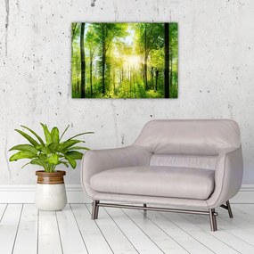 Tablou pe sticlă - Răsărit în pădure (70x50 cm)