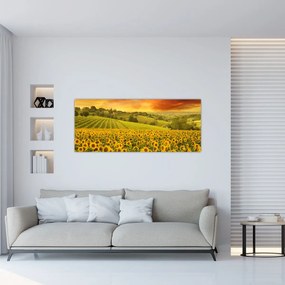 Tablou - Câmp de floarea-soarelui (120x50 cm)