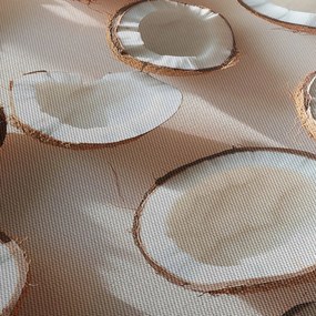 Tablou - Nuci de cocos (70x50 cm)