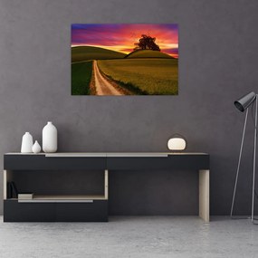 Tablou câmpului cu apus de soare (90x60 cm)