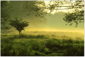 Tablou - Pădurea trezită (90x60 cm)