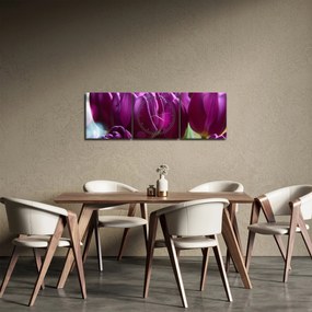 Tablou cu lalele (cu ceas) (90x30 cm)