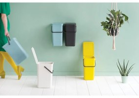 Cos de gunoi colectare selectiva Brabantia Sort&Go 648978, 16 L, Maner, Montabil pe perete, Gri inchis