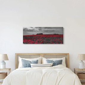 Tablou cu maci (120x50 cm)