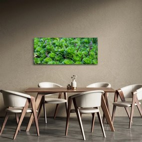 Tablou - Aloe (120x50 cm)