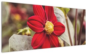 Tablou cu floare (120x50 cm)