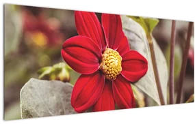 Tablou cu floare (120x50 cm)