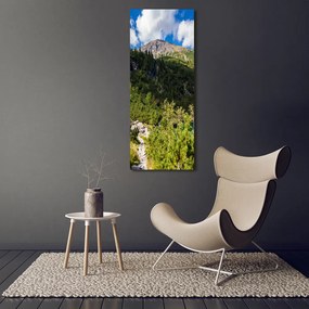 Tablou pe acril Marine ochi Tatry