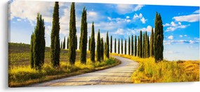 Tablou - Peisaj (120x50 cm)